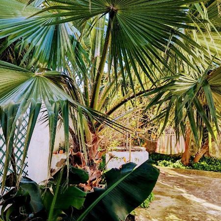 Cozy 3 Bedroom Home - Close To Beach Lourinhã Eksteriør billede
