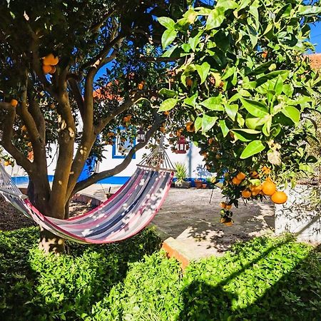 Cozy 3 Bedroom Home - Close To Beach Lourinhã Eksteriør billede