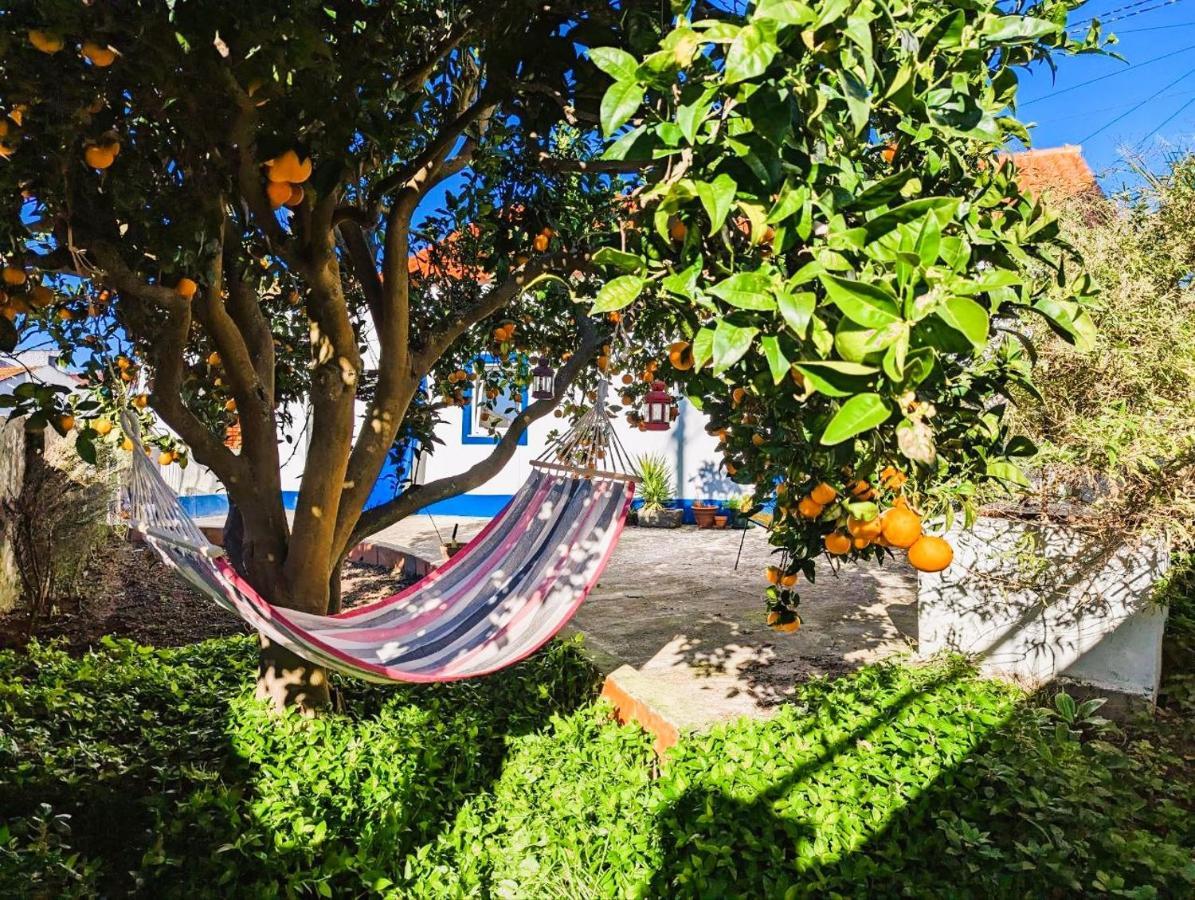 Cozy 3 Bedroom Home - Close To Beach Lourinhã Eksteriør billede