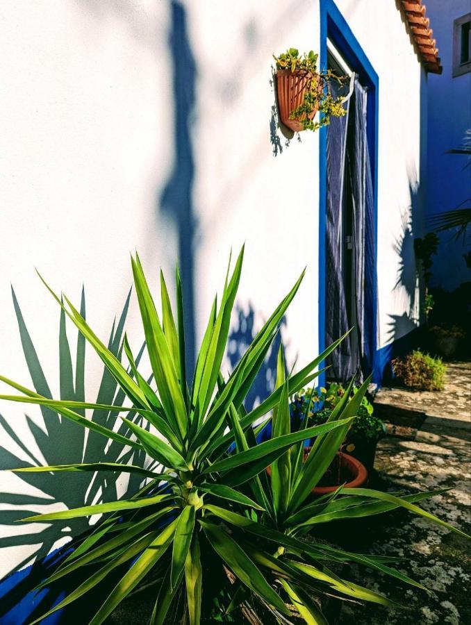 Cozy 3 Bedroom Home - Close To Beach Lourinhã Eksteriør billede